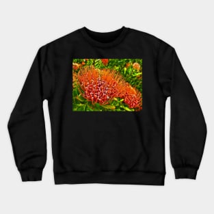 Protea at KIRSTENBOSCH, Cape Town, South Africa Crewneck Sweatshirt